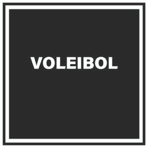 Voleibol