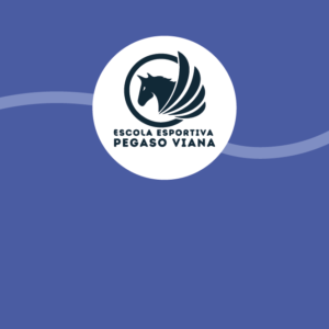 E. E. PEGASO VIANA