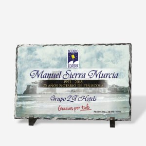 Placa de Pizarra Grande 30x20