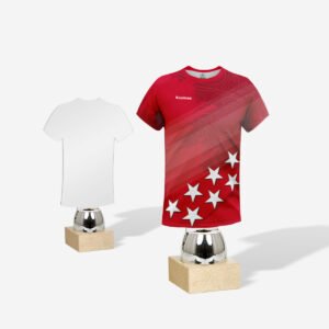 Trofeo Metacrilato 24 cm.