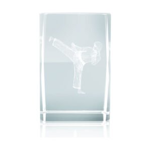 Piojito cristal óptico kárate grabado 3D